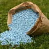 Fertilizers Urea N46, Npk