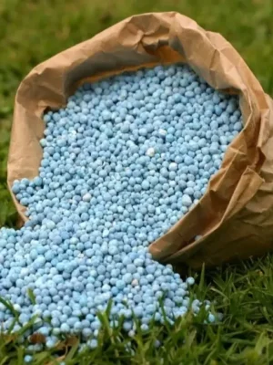 Fertilizers Urea N46, Npk