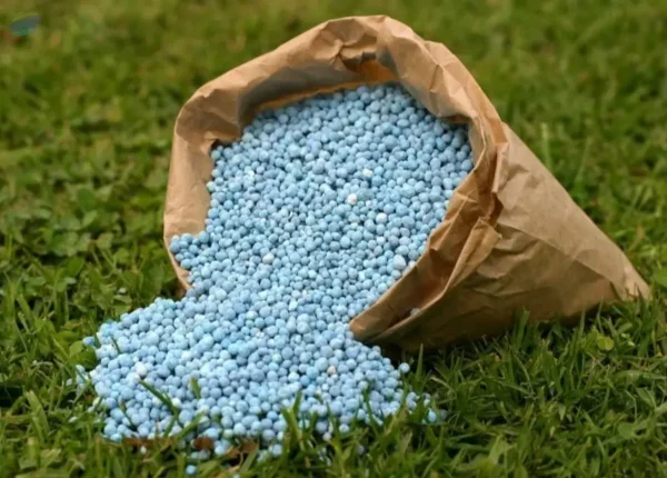 Fertilizers Urea N46, Npk
