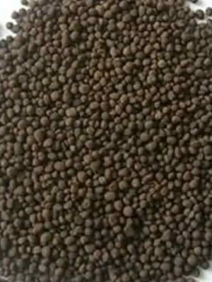 Dap Fertilizer